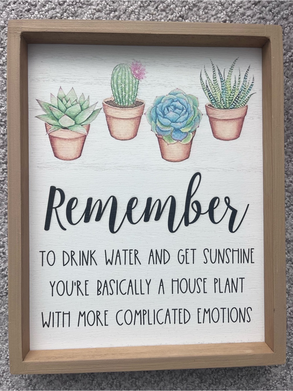 Remember House Plant Wall Sign - Brown Frame